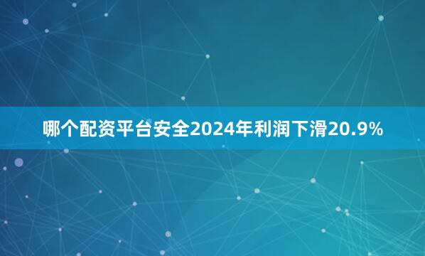 哪个配资平台安全2024年利润下滑20.9%