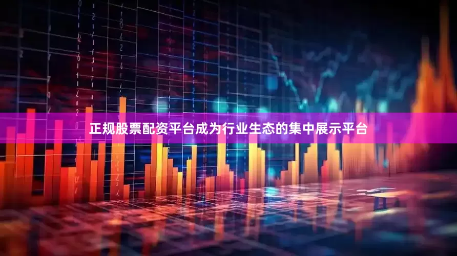 正规股票配资平台成为行业生态的集中展示平台