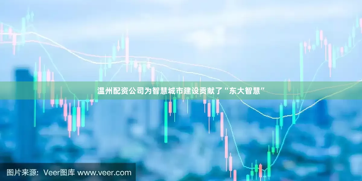 温州配资公司为智慧城市建设贡献了“东大智慧”
