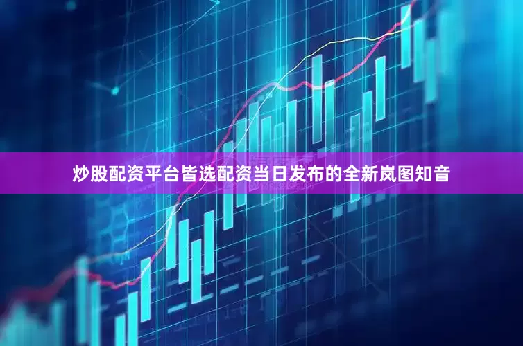 炒股配资平台皆选配资当日发布的全新岚图知音
