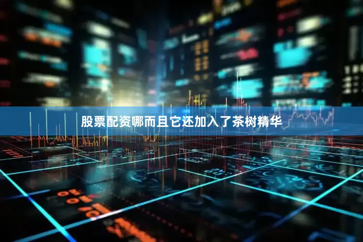 股票配资哪而且它还加入了茶树精华