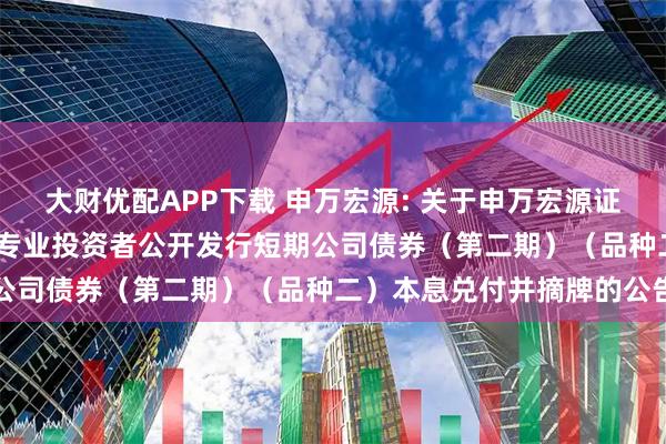 大财优配APP下载 申万宏源: 关于申万宏源证券有限公司2024年面向专业投资者公开发行短期公司债券（第二期）（品种二）本息兑付并摘牌的公告